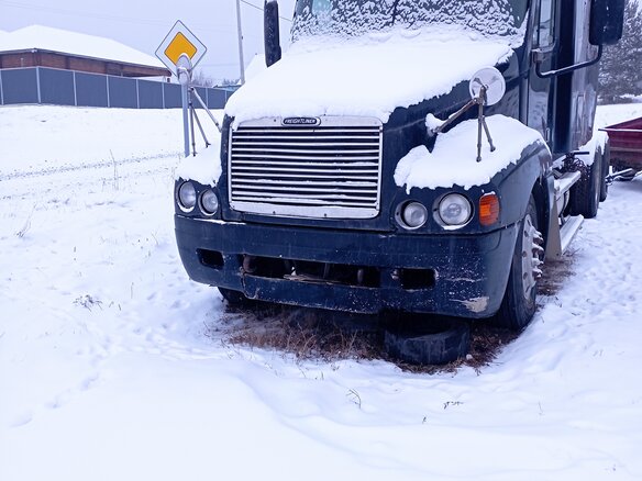 2001 Freightliner Century Class, чёрный, 780000 рублей - вид 1