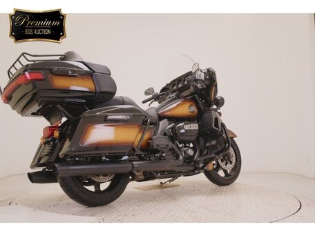 2024 Harley-Davidson Ultra Limited, коричневый, 2950000 рублей, вид 5