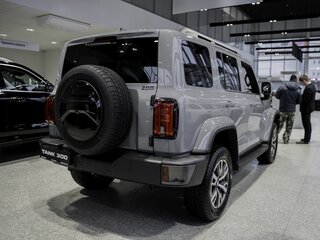 2026 Tank 300 I, серый, 4799000 рублей, вид 5
