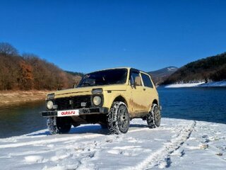 1996 Lada (ВАЗ) 2121 (4x4) I Рестайлинг, бежевый, 350000 рублей, вид 3