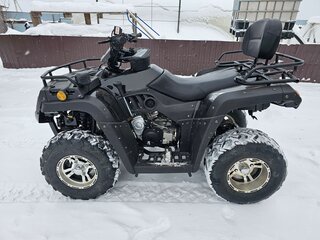 2025 Rato Rush 250, чёрный, 280000 рублей, вид 1