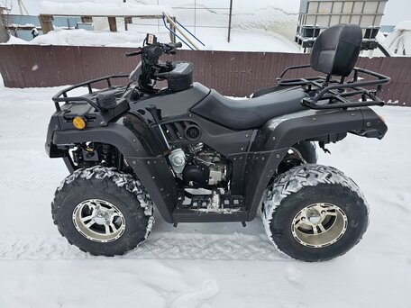 2025 Rato Rush 250, чёрный, 280000 рублей, вид 1