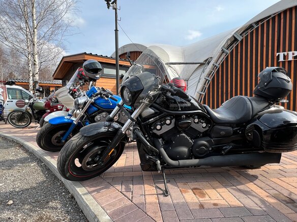 2006 Harley-Davidson Night Rod, чёрный - вид 1