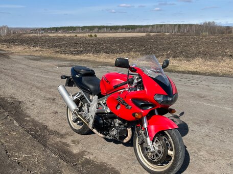 2000 Suzuki TL 1000, красный, 300000 рублей, вид 1