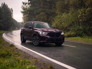 2021 BMW X5 M Competition III (F95), фиолетовый, 11890000 рублей, вид 5
