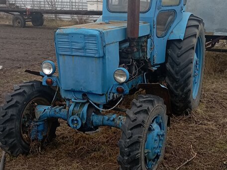 1982 ЛТЗ Т-40АМ, синий, 260000 рублей, вид 2