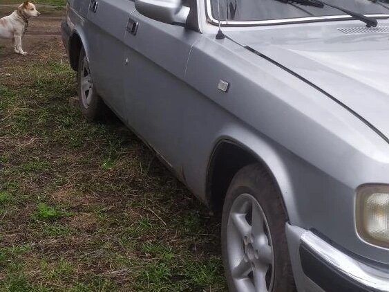 2003 ГАЗ 3110 «Волга», серебристый, 100000 рублей - вид 4