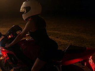 Honda CBR 600F