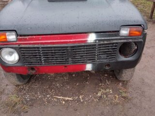 1994 Lada (ВАЗ) 2121 (4x4) I Рестайлинг, красный, 220000 рублей, вид 1