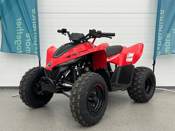 2025 CFMoto CFORCE 110, красный, 269910 рублей