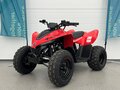 2025 CFMoto CFORCE 110, красный, 269910 рублей