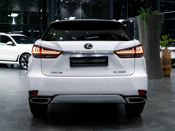 2020 Lexus RX 300 IV Рестайлинг, белый, 5049000 рублей - вид 5