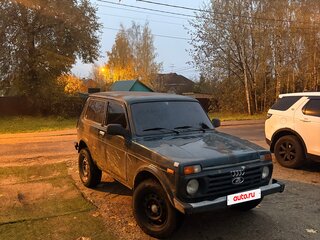 2010 Lada (ВАЗ) 2121 (4x4) I Рестайлинг, зелёный, 235000 рублей, вид 3