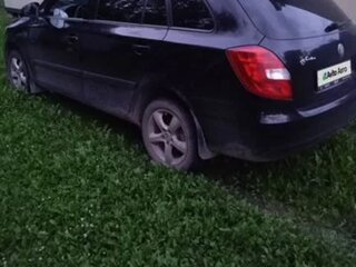2009 Skoda Fabia II, чёрный, 490000 рублей, вид 4
