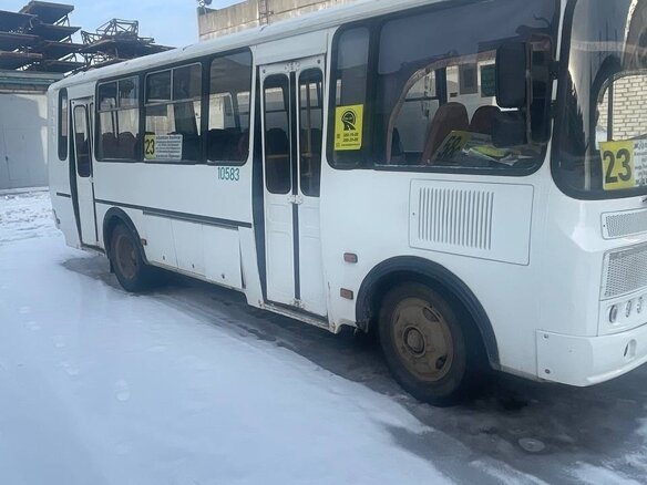 2020 ПАЗ 4234, белый, 1550000 рублей - вид 5