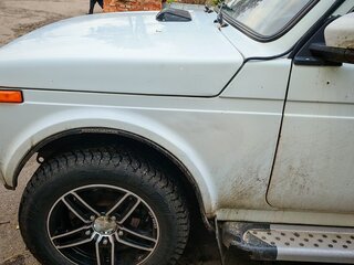 1997 Lada (ВАЗ) 2121 (4x4) I Рестайлинг, белый, 250000 рублей, вид 4