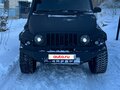 2008 ТагАЗ Tager, чёрный, 850000 рублей - вид 5