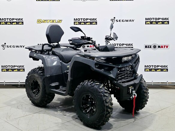 2025 Bison 250U, серый - вид 6