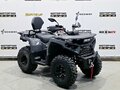 2025 Bison 250U, серый - вид 6