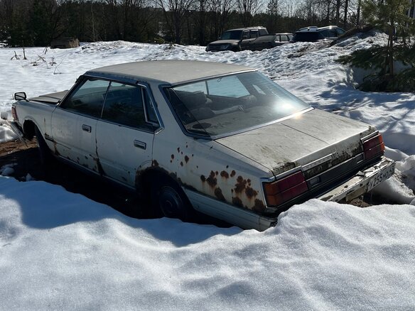 1985 Nissan Cedric VI (Y30), белый, 199000 рублей - вид 1