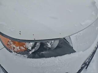 2009 Kia Sorento II, белый, 1100000 рублей, вид 4