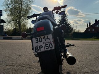 2021 Harley-Davidson Sportster 1200, серый, 750000 рублей, вид 5