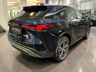 2025 Lexus RX 300 V, синий, 7950000 рублей, вид 5