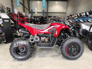 2025 CFMoto CFORCE 110, красный, 299900 рублей, вид 3