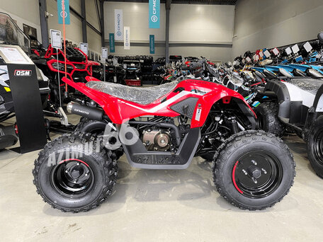 2025 CFMoto CFORCE 110, красный, 299900 рублей, вид 3