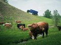 2026 Север Егерь 6x6, синий, 9495000 рублей - вид 4