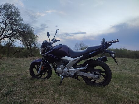 2016 Yamaha YS250 Fazer, фиолетовый, 280000 рублей, вид 2