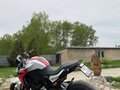 2021 BMW F 900 R, серый, 950000 рублей - вид 1