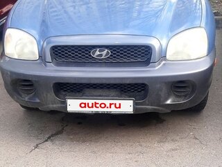 2001 Hyundai Santa Fe I, синий, 450000 рублей, вид 2