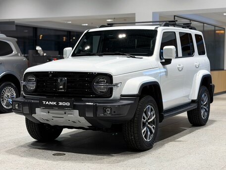 Tank 300 I