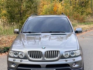2004 BMW X5 3.0i I (E53) Рестайлинг, серый, 1350000 рублей, вид 2