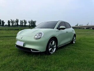 2023 Ora Good Cat 46 kWh I, зелёный, 1515000 рублей, вид 3