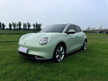 2023 Ora Good Cat 46 kWh I, зелёный, 1515000 рублей, вид 3