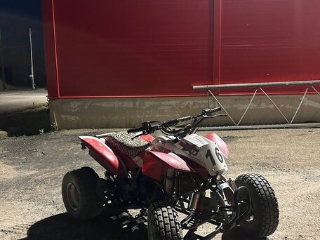 2013 Irbis ATV 250S, красный, 145000 рублей, вид 1