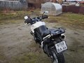 2008 Triumph Tiger 1050, белый, 550000 рублей - вид 4