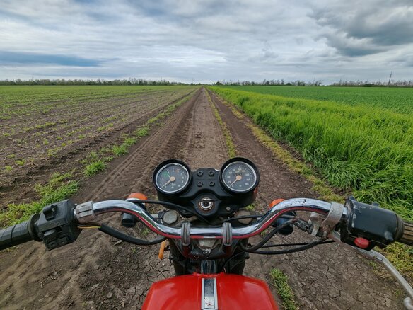 1987 CZ 350, красный, 150000 рублей - вид 3