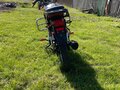 2024 Racer Alpha, оранжевый, 45000 рублей - вид 2
