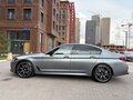2020 BMW 5 серии 520d xDrive VII (G30/G31/G38) Рестайлинг, серый - вид 7