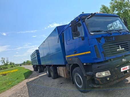 2017 МАЗ 4570, синий, 3000000 рублей, вид 1