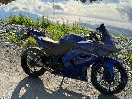 2010 Kawasaki Ninja 250R, синий, 280000 рублей, вид 3
