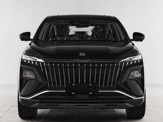 2025 Dongfeng Huge, чёрный, 2800000 рублей, вид 2