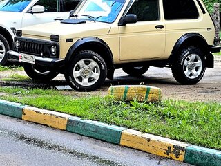 1987 Lada (ВАЗ) 2121 (4x4) I, бежевый, 570000 рублей, вид 3