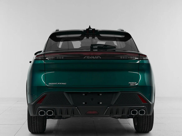 2025 Dongfeng Mage, зелёный, 2560000 рублей - вид 4