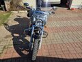 2003 Yamaha XVS1100, чёрный, 599000 рублей - вид 7
