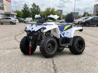 2021 Motoland ATV 200 Shark, белый, 191300 рублей, вид 1