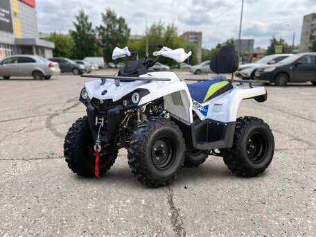 2021 Motoland ATV 200 Shark, белый, 191300 рублей, вид 1